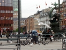 Датчан нам до конца не понять. Например, этот городской чудак доставал из мусорных бачков на Ратушной площади остатки еды и раздавал птицам. 